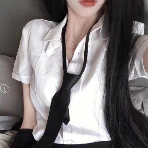 林肯在伊利诺斯